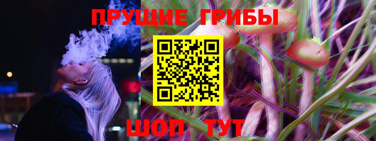 Галлюциногенные грибы Cubensis Барнаул