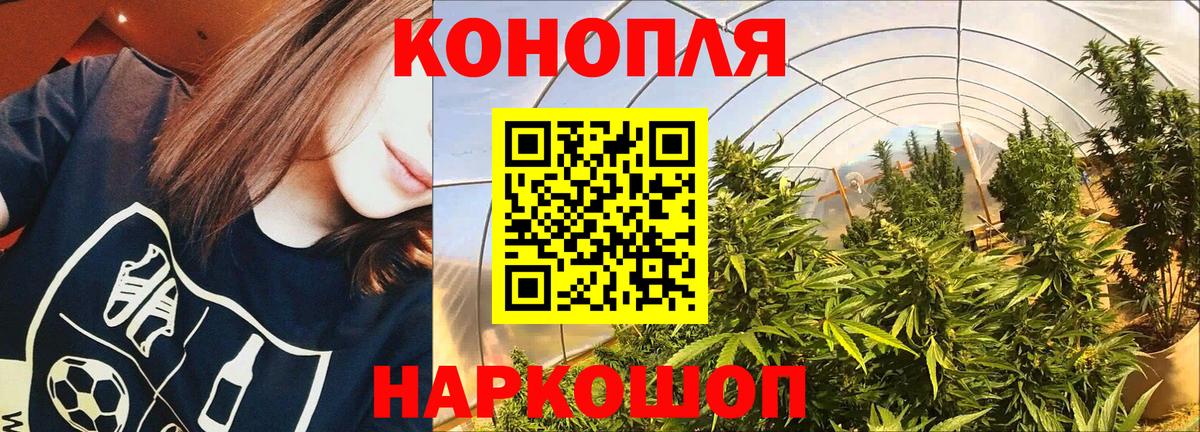 Бошки марихуана VHQ Барнаул